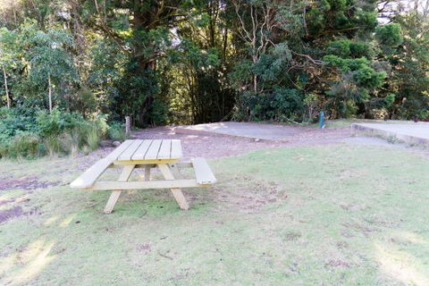 Lamington National Park Camping Ground - Accommodation in Brisbane 2