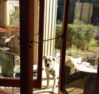 Mara Ponds Branxholm - Accommodation in Brisbane