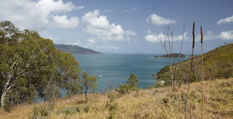 Molle Island National Park (Whitsundays National Park) Camping Ground - Accommodation in Brisbane 1
