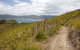 Molle Island National Park (Whitsundays National Park) Camping Ground - thumb 2