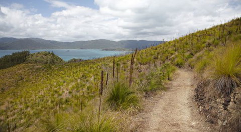 Molle Island National Park (Whitsundays National Park) Camping Ground - Accommodation in Brisbane 2