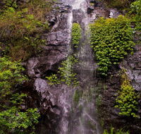 Nimbin waterfall retreat - Accommodation in Brisbane
