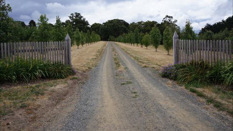 Oakhill Cottage - Accommodation in Brisbane 7