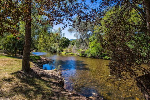 Porepunkah Bridge Holiday Park - Accommodation in Brisbane 5