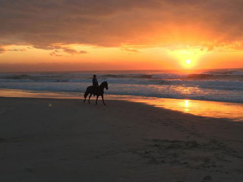 Tassiriki Holiday Cabins - Accommodation in Brisbane 0