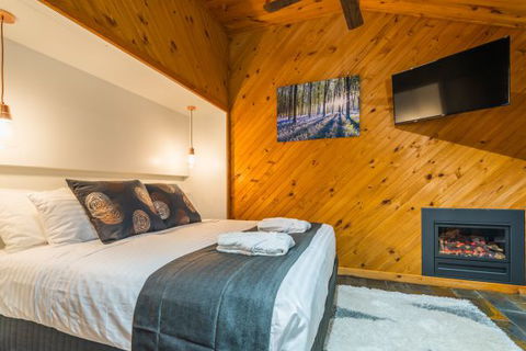 Waterfall Springs Retreat And Wildlife Sanctuary - Accommodation in Brisbane 2