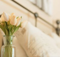 Wang Stays and Short Stops - Accommodation in Brisbane