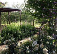 Wandana Bed and Breakfast - Accommodation in Brisbane