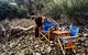 Wingtons Glamping Clarence Point - thumb 1