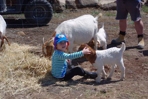 Yalooka Farm - Accommodation in Brisbane 3