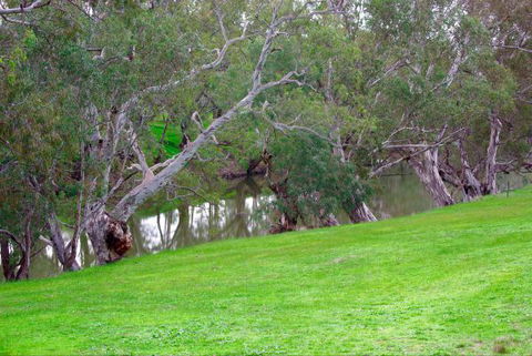 Yalooka Farm - Accommodation in Brisbane 4