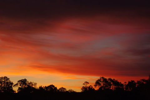Yalooka Farm - Accommodation in Brisbane 5