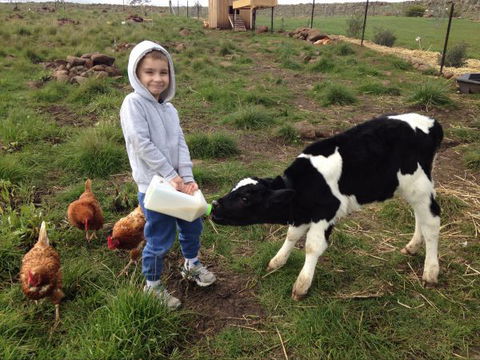 Yalooka Farm - Accommodation in Brisbane 8