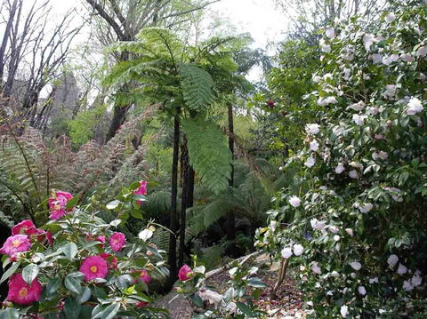 Adelaide Hills B&B Accommodation - Accommodation in Brisbane 3