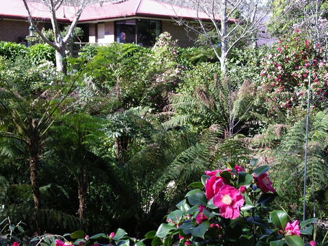 Adelaide Hills B&B Accommodation - Accommodation in Brisbane 6