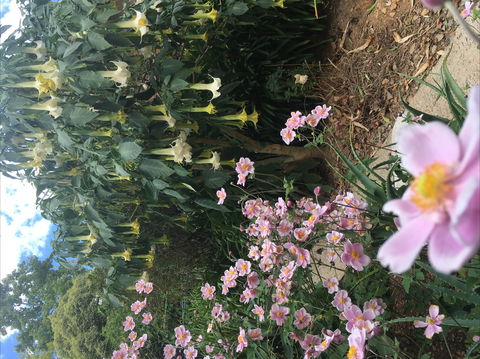Adelaide Hills B&B Accommodation - Accommodation in Brisbane 7