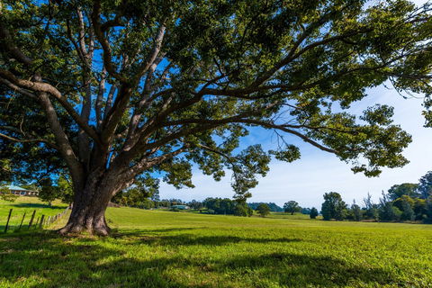 All About Me Bed And Breakfast - Accommodation in Brisbane 8