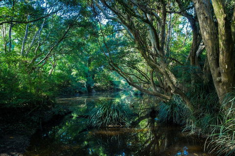 All About Me Bed And Breakfast - Accommodation in Brisbane 9