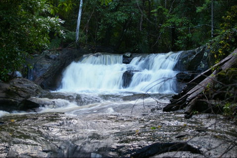 Bellthorpe Stays - Nature's Retreat - Accommodation in Brisbane 5
