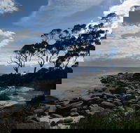 Binalong Bay Beach Shack - Accommodation in Brisbane