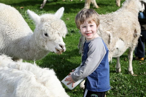 Boronia Farm - Accommodation in Brisbane 2