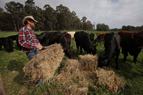 Boronia Farm - Accommodation in Brisbane 5