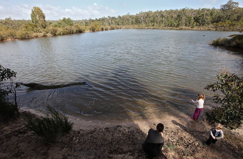 Boronia Farm - Accommodation in Brisbane 7
