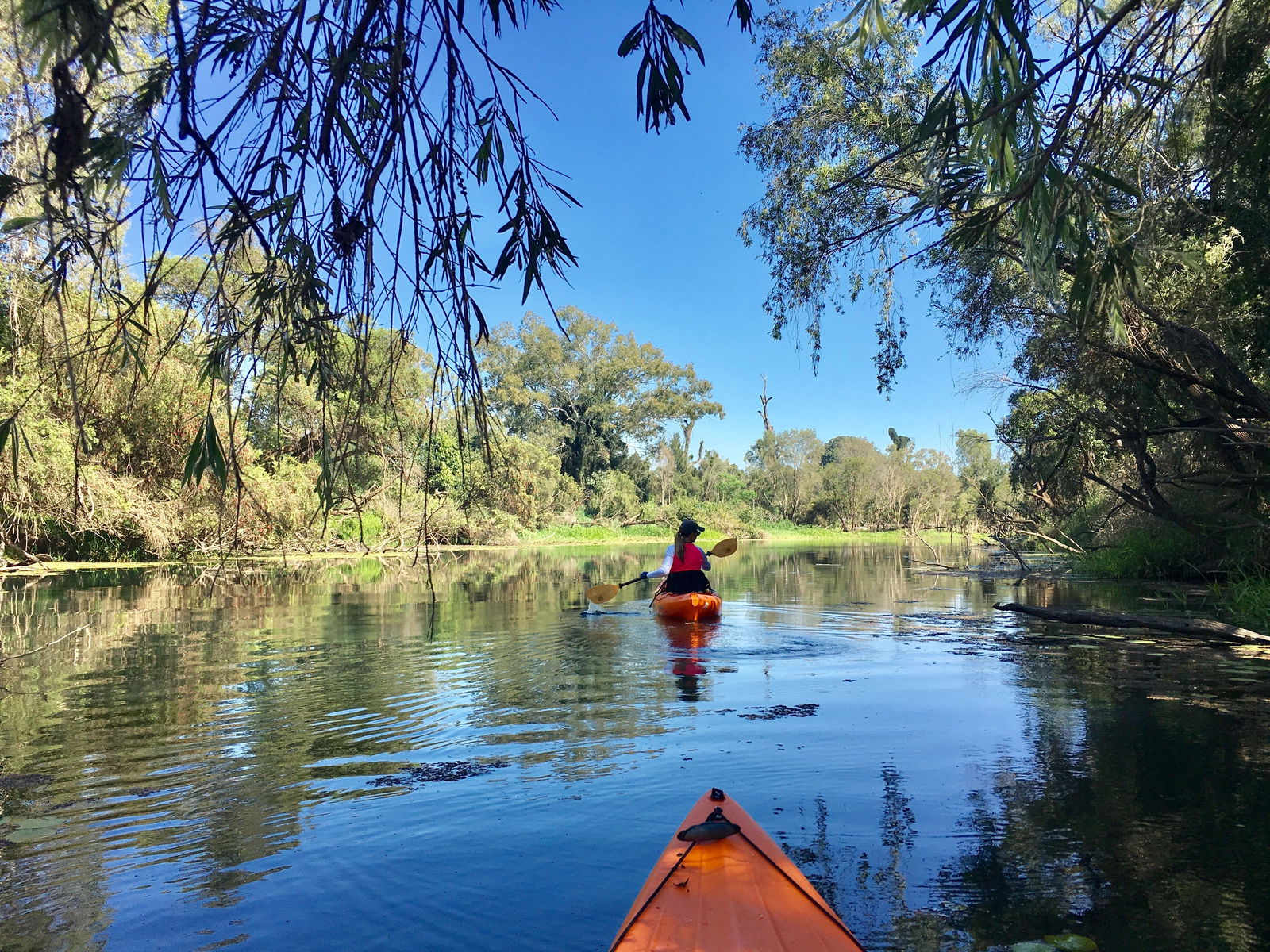Boynedale QLD Accommodation in Brisbane