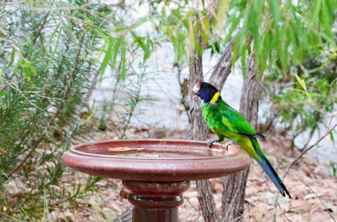 Caves Road Chalets - Accommodation in Brisbane 1