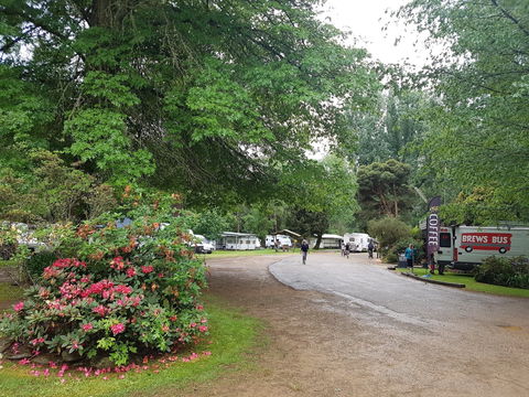 Harrietville Cabins And Caravan Park - Accommodation in Brisbane 8