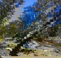 Highfield Farm and Woodland Bush Campsites - Accommodation in Brisbane