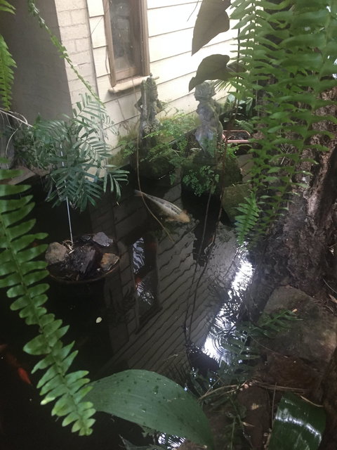 HJapartments - Accommodation in Brisbane 4