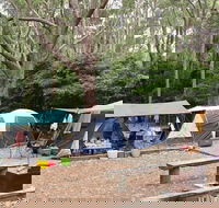Pebbly Beach campground - Yuraygir National Park - Accommodation in Brisbane
