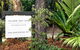 Kingfisher Bay Resort - thumb 8