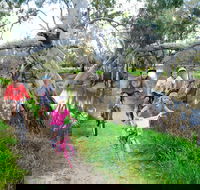 NRMA Echuca Holiday Park - Accommodation in Brisbane