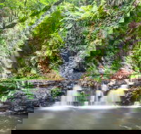 O'Reilly's Rainforest Retreat - Accommodation in Brisbane