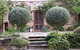 The Heritage Garden - thumb 0