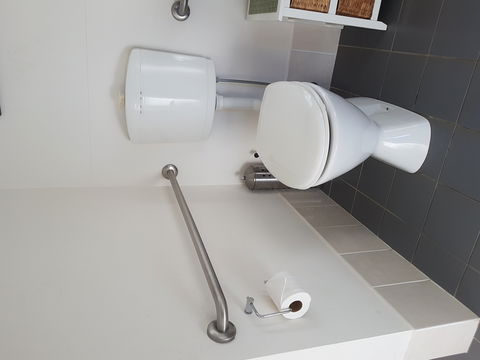 The Bird Hide - Accommodation in Brisbane 1