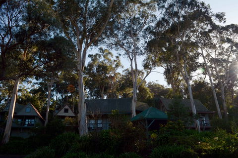 The Great Ocean Road Cottages And Backpackers - Accommodation in Brisbane 2