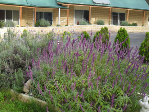 The Malone's Bed And Breakfast Guest Rooms - Accommodation in Brisbane 2