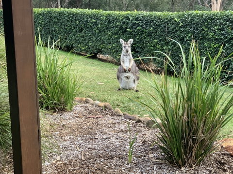 Wild Edge Retreat - Accommodation in Brisbane 9