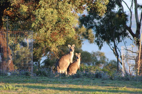 Abercrombie Ridge - Accommodation in Brisbane 7