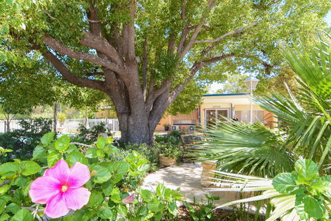 Balranald Sturt Motel - Accommodation in Brisbane 0