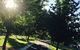 Blue Wren Cottage - thumb 7