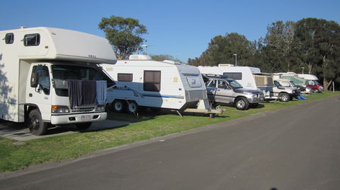 Coral Tree Lodge Tourist Park - Accommodation in Brisbane 3