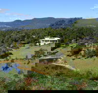 Golden Wattle - Kiaroo - Accommodation in Brisbane