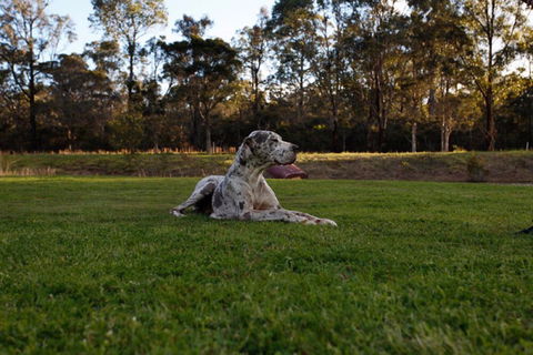 Hunter Valley Retreat - Accommodation in Brisbane 0