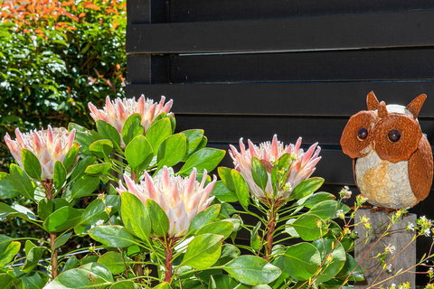Killior'ra - Accommodation in Brisbane 3