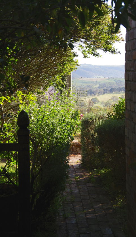 Pear Tree Hollow - Accommodation in Brisbane 7
