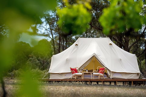 Balgownie Estate Winery Glamping & Accommodation - Accommodation in Brisbane 0